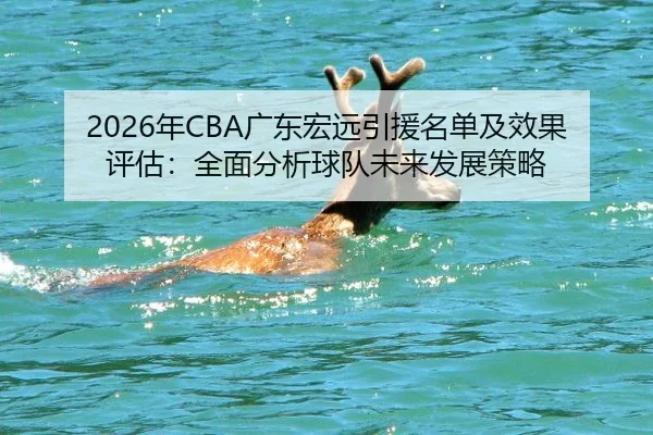 nian-guang-dong-hong-yuan-yin-yuan-ming-dan-ji-xiao-guo-ping-gu-quan-mian-fen-xi-qiu-dui-wei-lai-fa-zhan-ce-lve-2-627.jpg